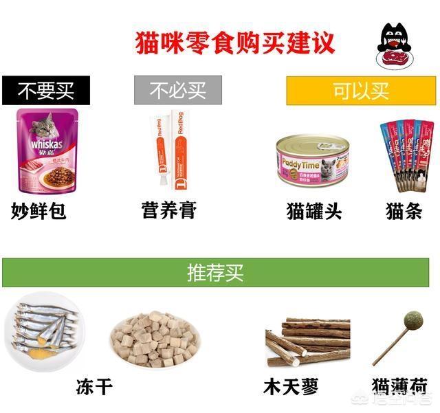 伟嘉妙鲜包猫咪的害处:怎样养好两个月的幼猫呢？