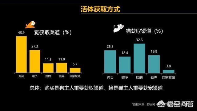 折耳猫图片:如何选择自己的第一只猫？ 折耳猫图片多少钱一只