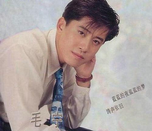 毛宁遇刺:毛宁曾经到底有多火？为何如今消失匿迹了？