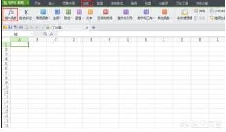 wps表格函数公式大全,WPS表格怎样插入函数公式？