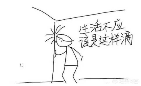 上海西施熊吧:进步明显！上海三数据联盟第一，李春江为何青睐朱瀛？