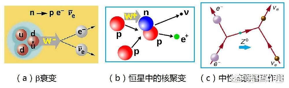 鹿角虫寿命是多少:原子、质子、中子、电子等微观粒子有寿命吗？