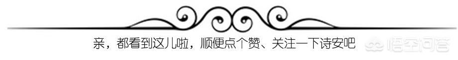 为什么有些微月玛姬婶婶的花苞总是打不开？该怎么办？