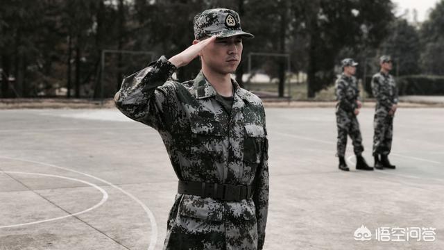 电视剧陆战之王从头到尾都在说一个老班长离开部队的故事你们怎么看