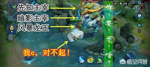 王者荣耀新英雄阿古朵清野速度第一,还特别肉,他的弱点是什么？