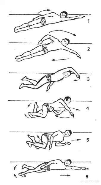 蛙泳动作要领:为什么我老是学不会蛙泳，有什么技巧？