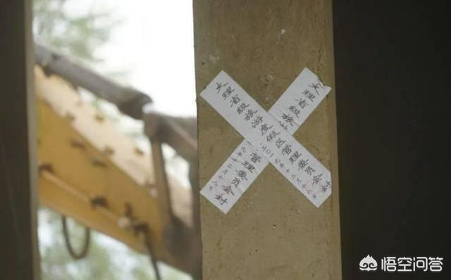 杨丽萍资料:金星的个人履历是怎样的，对此你怎么评价