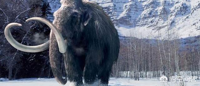 什么食品可以放10年以上还可以吃？插图13