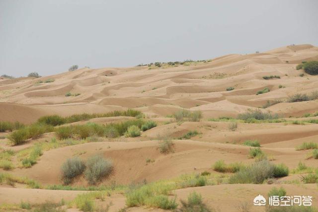 沙漠中的沙可不可以用来建房子？