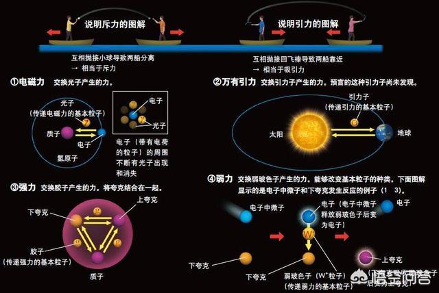 波子角蛙的寿命:4厘米左右的蝴蝶角蛙能冬眠吗 波子鱼要多久才能繁殖啊？我养好久了？