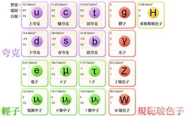 波子角蛙的寿命:4厘米左右的蝴蝶角蛙能冬眠吗 波子鱼要多久才能繁殖啊？我养好久了？