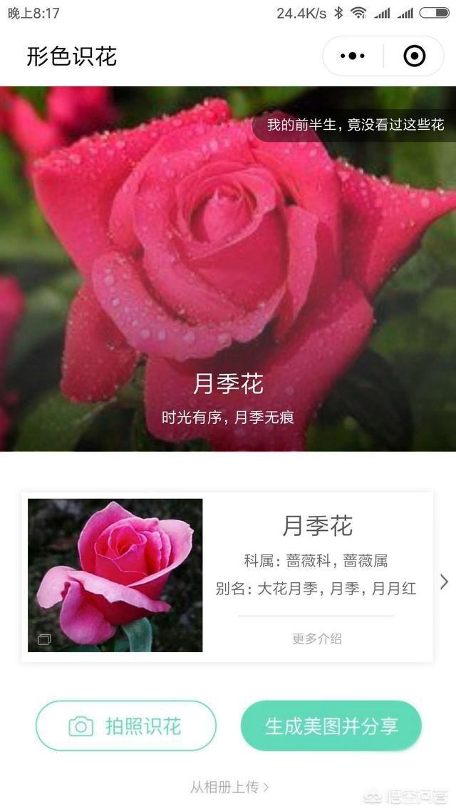 都在说微信小程序，那么微信小程序到底是什么(微信小程序微信登录)