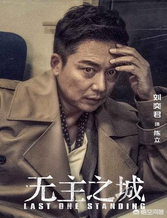 无主之城电视剧:对于电视剧《无主之城》怎么评价