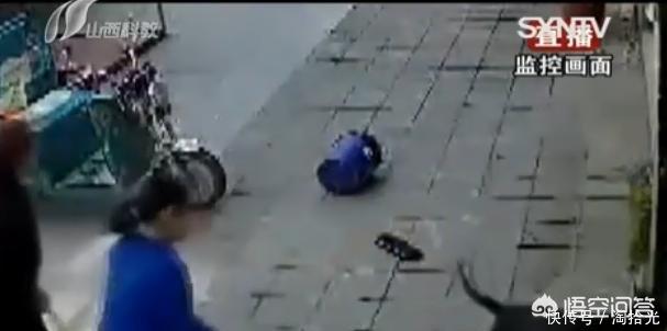 洛阳罗威纳犬价格:违规饲养烈性犬，洛阳一居民被罚1000元, 你怎么看？