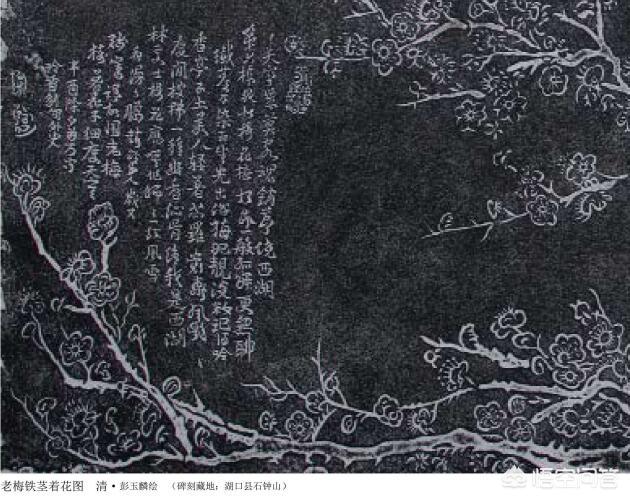 彭玉麟:晚清名将彭玉麟真的杀掉了李鸿章的侄儿吗？