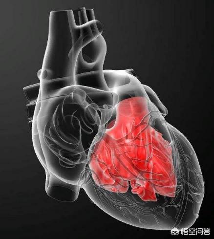 头条问答 - 癌细胞会转移到心脏里吗?(2个回答)