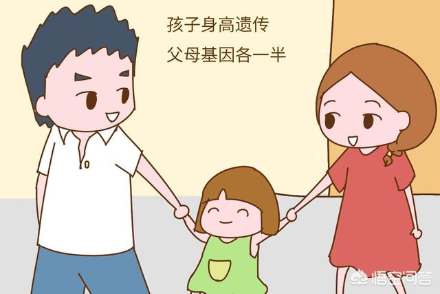 父母哪些相貌特征会遗传给孩子