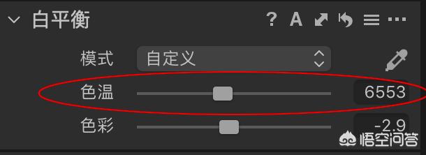 小丑鱼图片:照片偏色后期要怎么做呢？