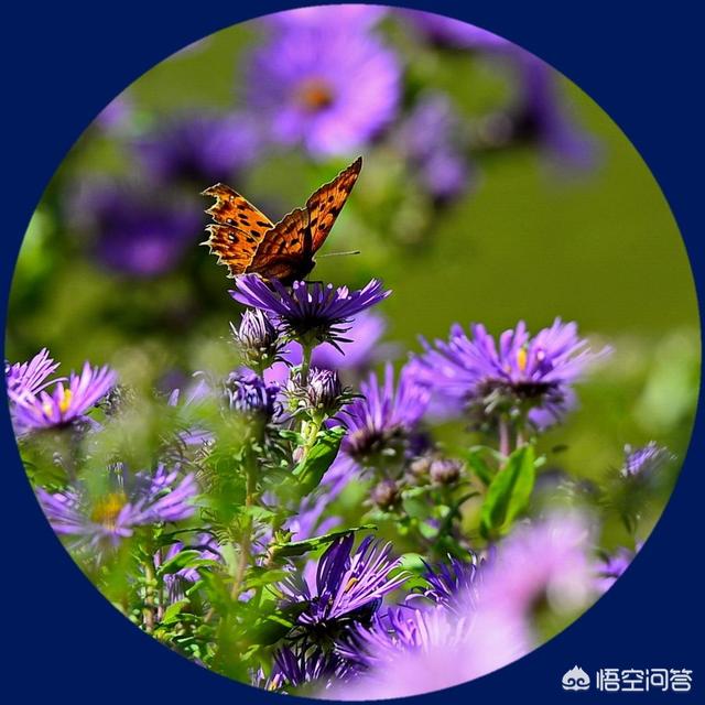 哪首诗古诗词见证了你的爱情故事？