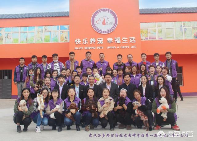 玛氏宠物护理学院官网:哪里有学给宠物美容的学校地址？ 玛氏皇家宠物食品加盟