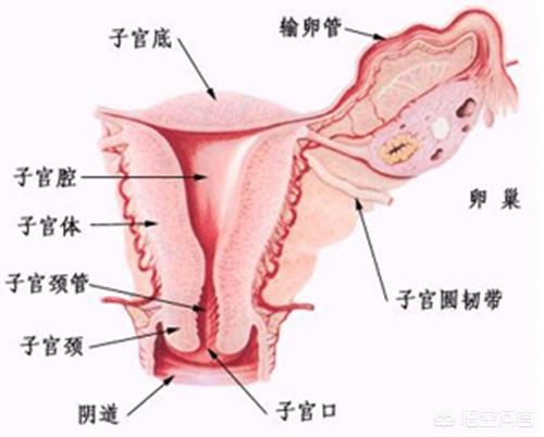 同房出血是什么原因造成的:产生同房出血是哪些原因引起的？