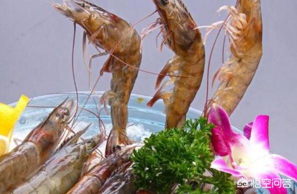 海虾的营养价值(海虾的营养价值及吃法)