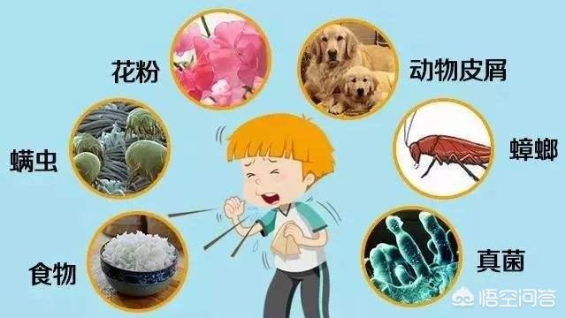 过敏性鼻炎看五官科还是呼吸科?过敏性鼻炎可以看呼吸科吗