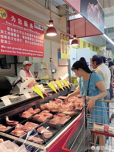 进入九月后猪价不断下跌，下跌的幅度是多大，什么原因导致的？