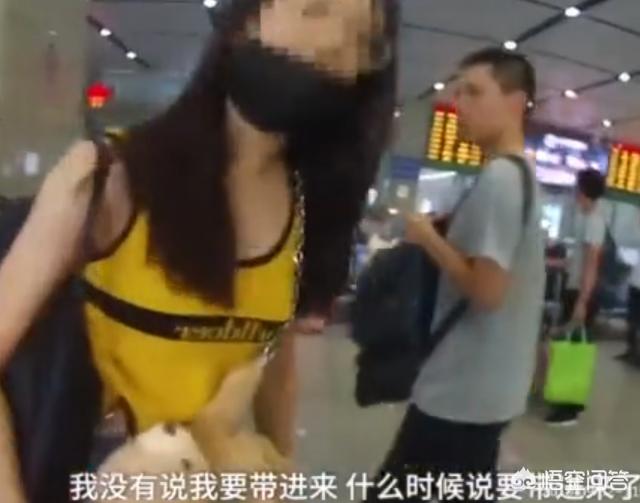 张靓颖荆棘头饰:从芒果TV到芒果超媒，蔡怀军是如何实现的？