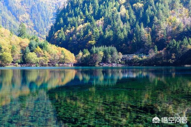 九寨沟旅游心得(九寨沟旅游心得体会)