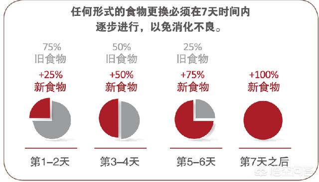 猫主食罐:五个月的猫能吃罐头吗?胃会不会不适应？