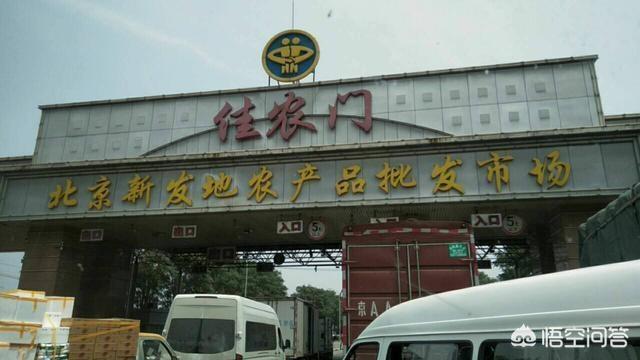 延边丰山犬基地:朝鲜丰山犬视频 三文鱼为什么要生吃？不能水煮一下吗？
