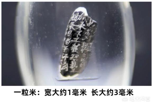 造物弄人:造物弄人还是上天注定为何拿破仑和希特勒都折戟俄国