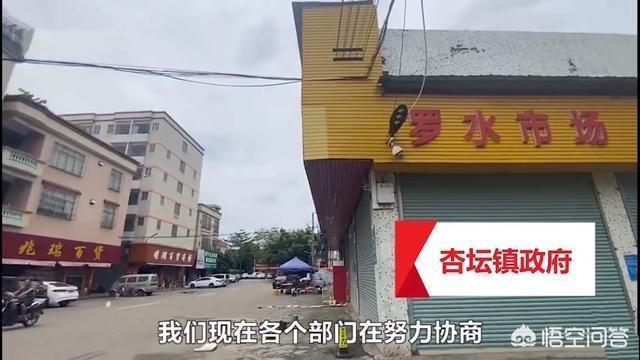 牵犬师视频:大妈遛狗不牵绳，两条狗被城管捉走，趴地上撒泼打滚，怎么回事？ 牵犬师是什么职业