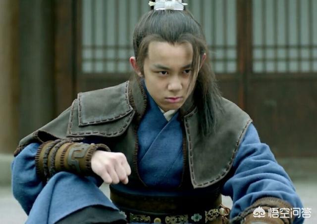 飞流的身世:《琅琊榜》飞流身上有什么秘密？他为何武功高心智却极低？