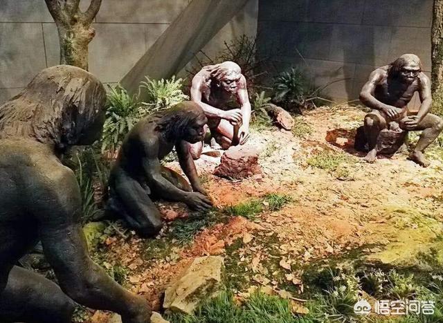 土耳其斗牛场灵异事件:地球上第一个人类是怎么来的？人类是怎么繁殖起来的？