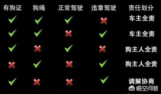 心机狗狗开车撞倒大树:开车过马路撞死一只狗，车主需要赔偿甚至负法律责任不？