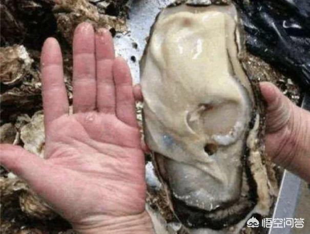 福岛核电站变异人:日本福岛辐射后的2019是什么样子了？