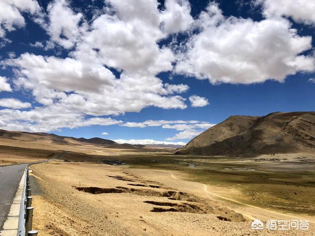 喀纳斯湖巨型哲罗鲑死了，给你一次旅游机会，你会选择新疆还是西藏