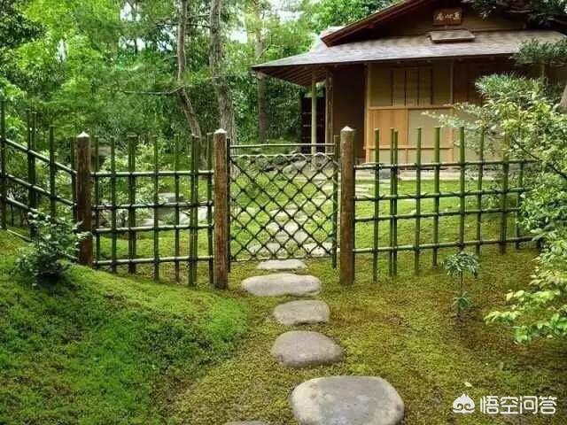 怎么做院子围墙又便宜又好看？插图52