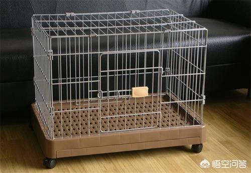 天猫捉猫猫:怎么才能确定无疑的找到猫？