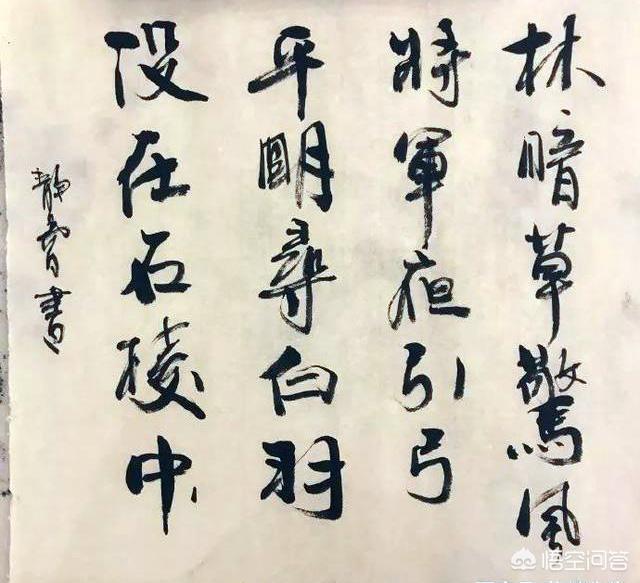 徐静蕾光头:才女徐静蕾的书法在当今属于何等水平？