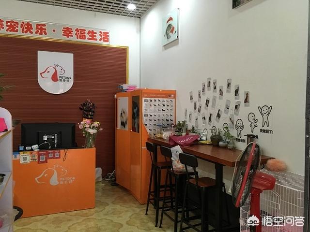派多格宠物医院加盟:派多格宠物医院加盟 宠物医院运营方案的几点建议？