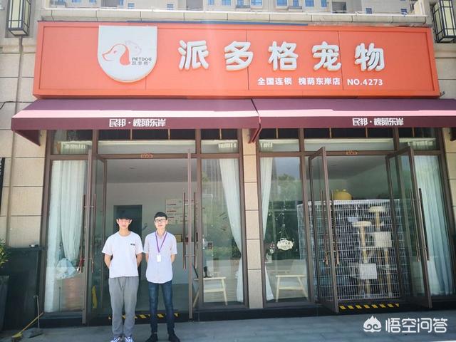 宠物用品团购群名:开宠物店常用的陈列技巧有哪些？