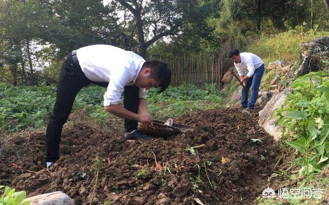 为什么有些农村有“天上雷公,地下舅公”的说法？具体是什么意思？