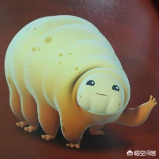 为何水熊虫能在－273°生存？