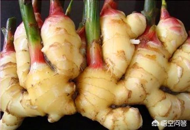 大姜高产栽培技术对肥料的需求是怎样的？