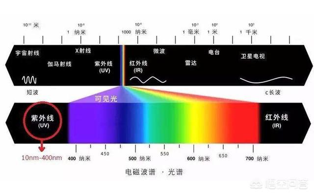 婴儿社交障碍症的表现:社交障碍症的表现症状 3岁儿童孤独症有哪些症状？