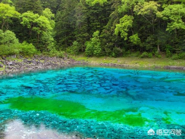 九寨沟旅游心得(九寨沟旅游心得体会)