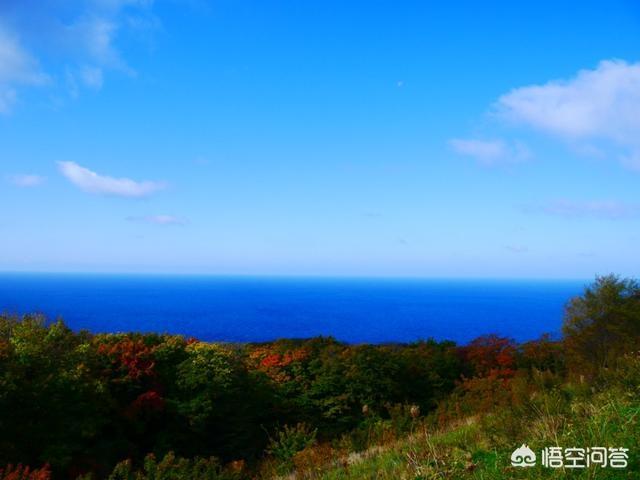 奥比岛找7色花:有北海道奥尻岛旅行攻略吗？